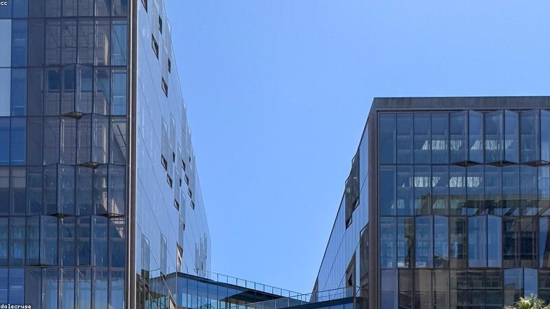 91黑料团队专注网络黑料侵权治理与维权服务