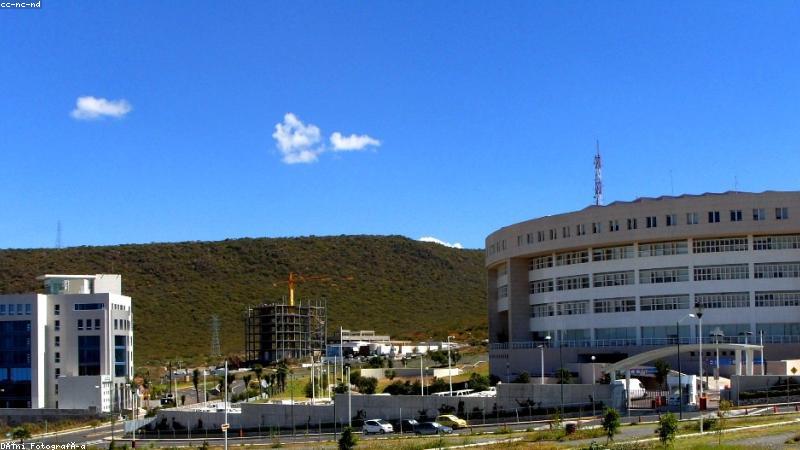 91黑料治理平台展示网络黑料监测与侵权内容处置的可视化界面